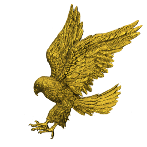 the patriot eagle